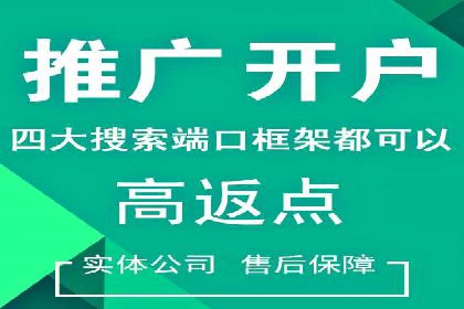 深度剖析SEM代运营公司成功案例